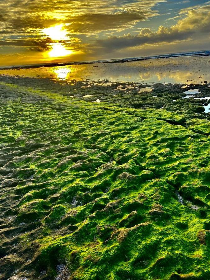 Paraiso Dos Corais Guarajuba Ngoại thất bức ảnh